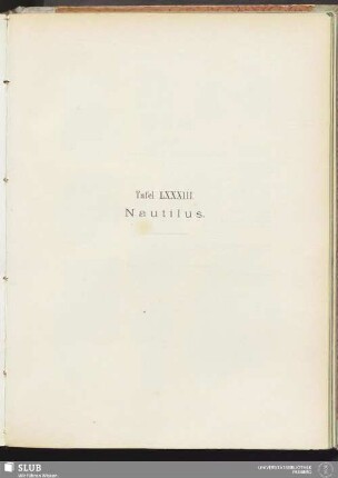 Tafel LXXXIII. Nautilus