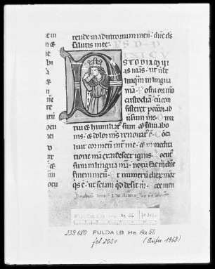 Vollbrevier — Initiale D (ixi custodiam), darin König David, Folio 203verso