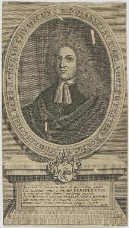 Bildnis des Iohannes Kunckel von Löwenstern