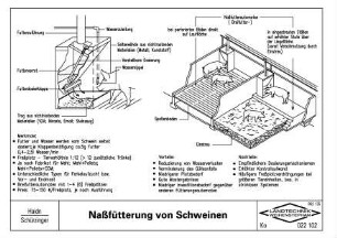 Naßfütterung von Schweinen