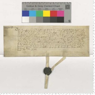 Präsentation an Propst Jacob Schomaker für eine Vikarie am Thomas Altar zu St. Lamberti [lat].