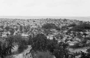 Felder und Wanderdüne (Libyen-Reise 1938)