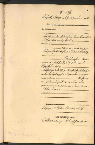 Standesamtsbuch der Stadt Aschaffenburg: Geburten 365/1900 - 184/1901