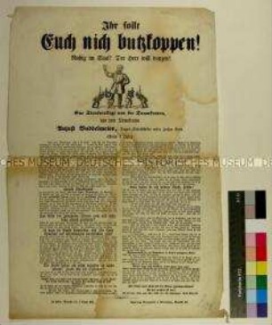 Satire auf die demokratischen Abgeordneten der Frankfurter Nationalversammlung (in Berliner Mundart)