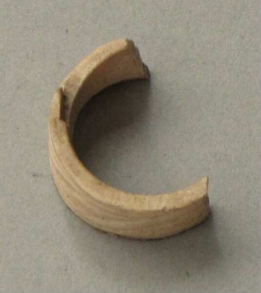 Shell ring (fragment)