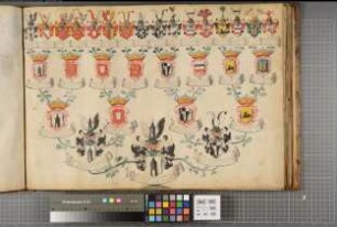 Proband: Wenge, Levin Stephan Wilhelm von; Vater: Wenge, Werner Heinrich von; Mutter: Kanne, Maria Elisabeth von: Paderborn, Domkapitel