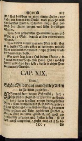 Cap. XIX. Num. I. - XXIII.