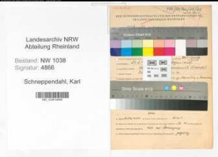Entnazifizierung Karl Schneppendahl , geb. 27.02.1912 (Angestellter)