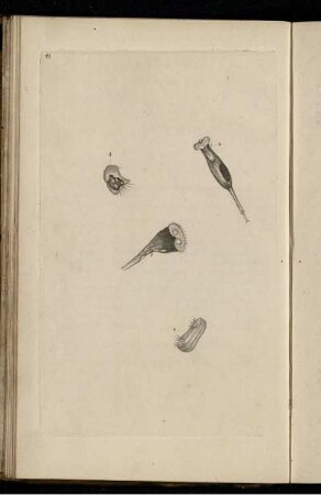 Pl. 41 [bis] Pl. 50 [Pl. siehe arbabische Paginierung]