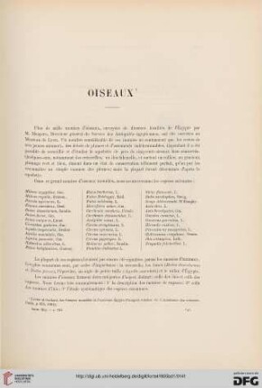 Oiseaux