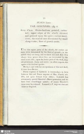 Fusus Lima. Tab. CCCCXXIII. - fig. 4