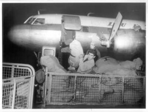 Frankfurt (Main). Flughafen. Um den Postumschlag zu beschleunigen, wird auch aus der vorderen Tür des Flugzeuges be- und entladen