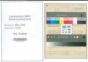 Entnazifizierung Walther Veit , geb. 24.06.1902 (Revisor)