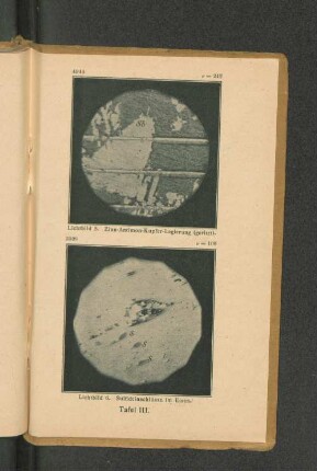 Lichtbild 5. Zinn-Antimon-Kupfer-Legierung (geritzt). Lichtbild 6. Sulfideinschlüsse in Eisen.