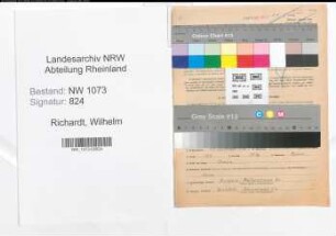 Entnazifizierung Wilhelm Richardt , geb. 17.11.1893 (Postbetriebsassistent)