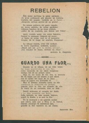 Guardo una flor...