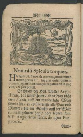 Non nisi Spicula torquet.