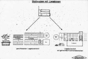 Stallsystem mit Liegeboxen