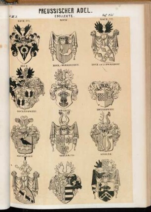 Taf. 255. Koch 1845. - Koch. - Koch 1737. - Koch. - Koch v. Herrhausen. - Koch und Ludwigsdorf. - Kochanowski. - Köckritz. - Koczorowski. - Koenemann. - Köhler, 1735. - Köhler