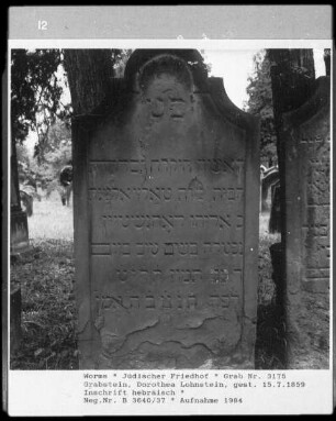Grabstein von Dorothea Lohnstein (gestorben1859.07.15)