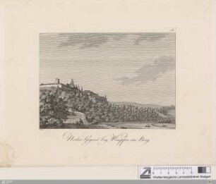 Neckar-Gegend bey Wimpfen am Berg