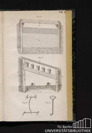 Taf. III. Fig 8 - 11