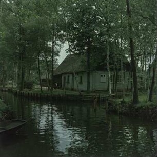 Spreewald : Bauernhaus im Spreewald