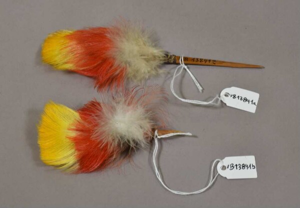 Tucan feather clip