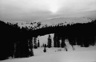 Rinken: Sonne im Nebel; über dem Feldberg