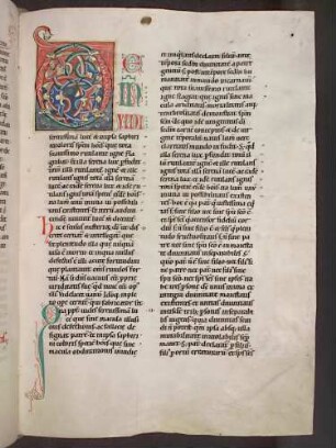 Zierinitialen und Zierschrift (Pars II, Visio secunda): a) D(EINDE VIDI serenissimam lucem); b) (Pars II, Visio secunda, 2): Q(uapropter vides)