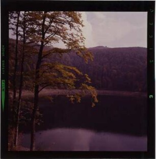 Blick auf den Lac du Ballon