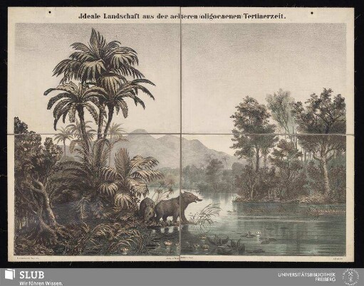 [Tafel 51]: Ideale Landschaft aus der aelteren (oligocaenen) Tertiaerzeit