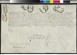 Aussteller: Pius VI. Empfänger: Diözesanen von Posen. Betreff: Erhebung des Ignacy Antoni Raczynski zum Bischof von Posen (kleine Ausfertigung).