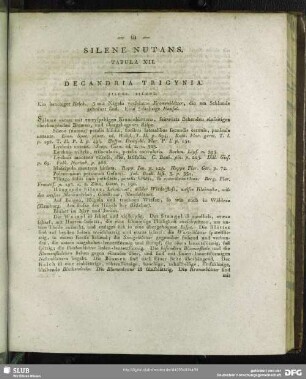 Silene Nutans. Tabula XII.