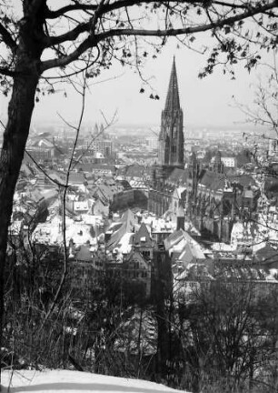 Freiburg: Münster vom Kanonenweg