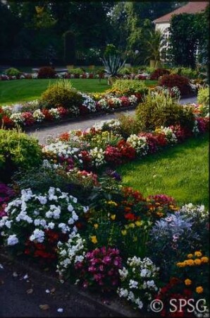 Potsdam, Neuer Garten, Sommerbepflanzung im Blumengarten vor der Orangerie.