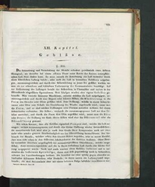 XII. Kapitel. Gebläse
