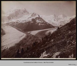 Roseggletscher