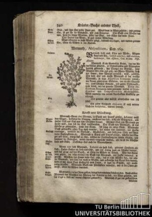 Cap. 169. Wermuth, Absynthium.