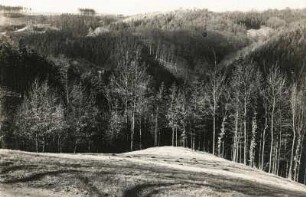 Elbsandsteingebirge. Polenztal. Terrassensporn über der Polenz. Blick vom Promenadenweg gegen Wartenberg