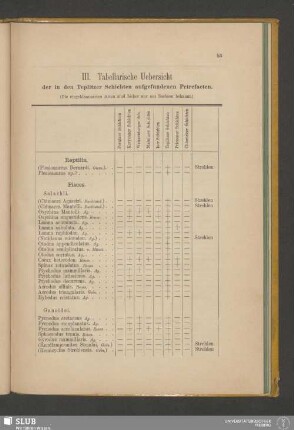 III. Tabellarische Uebersicht der in den Teplitzer Schichten aufgefundenen Petrefacten