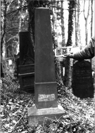 Grabstein 107 (neu: 838)