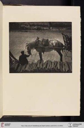 [Alfred Stieglitz, II. A Snapshot: Paris (1911), photogravure from original negative made by the Manhattan Photogravure Company, New York]