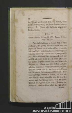 Erbse. Pisum sativum. Linn. Cl. XVI. Franz. de pois. Engl. the pea.