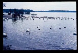 Havel Gr. Fenster 4.4.69.