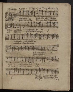 Chiacona a 3. Voc. 2. Viol.