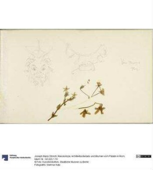 Reiseskizze, Architekturdedails und Blumen vom Palatin in Rom