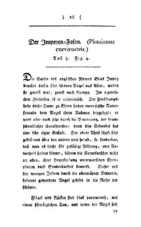 ¬Der¬ Impeyen-Fasan : (Phasianus curvirostris) ; Taf. 3, Fig. 4