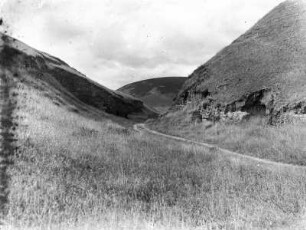 Tal mit Weg : Blick über Grasvegetation auf ein Tal mit einem Weg