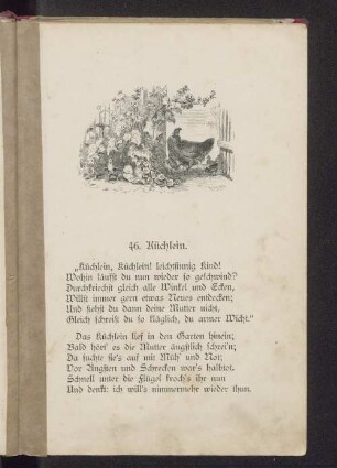 46. Küchlein.